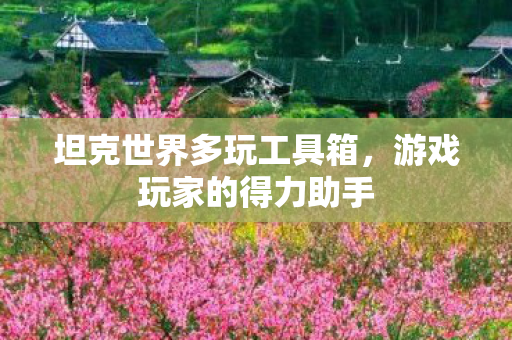 坦克世界多玩工具箱图片