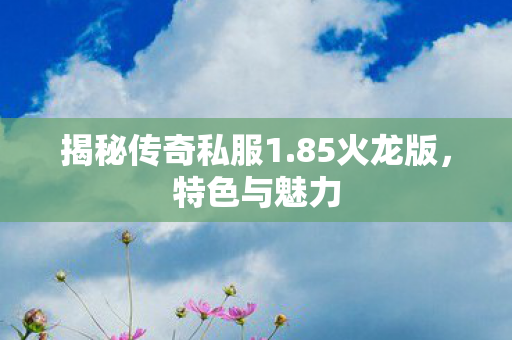 揭秘传奇私服1图片