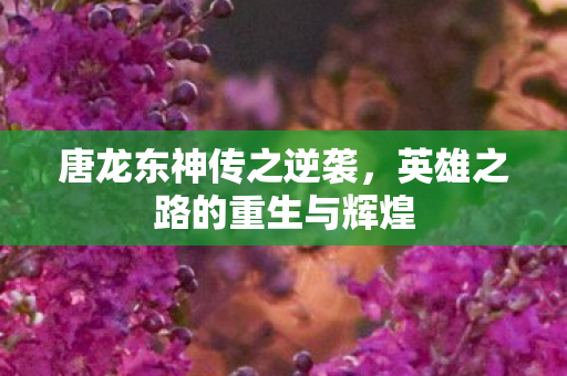 英雄之路的重生与辉煌图片
