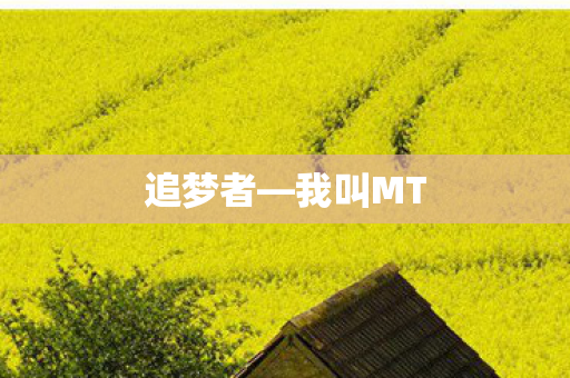 我叫MT图片