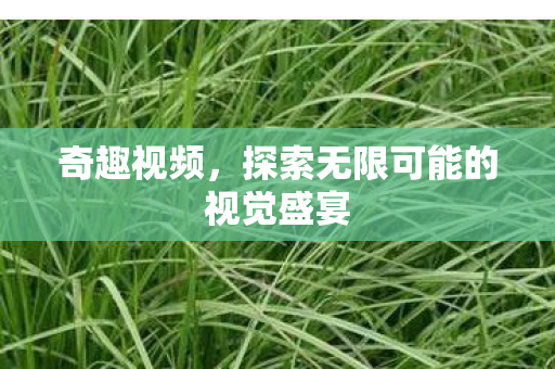 探索无限可能的视觉盛宴图片