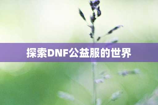 探索DNF公益服的世界图片