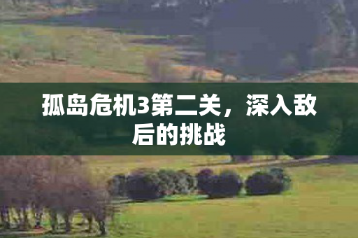 孤岛危机3第二关图片