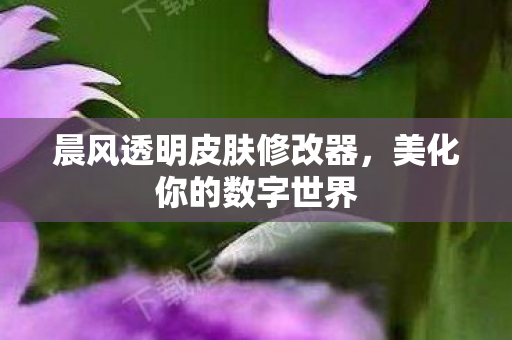 晨风透明皮肤修改器图片