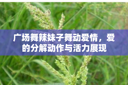 爱的分解动作与活力展现图片