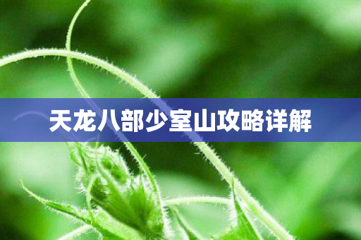 天龙八部少室山攻略详解图片