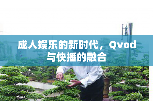 Qvod与快播的融合图片