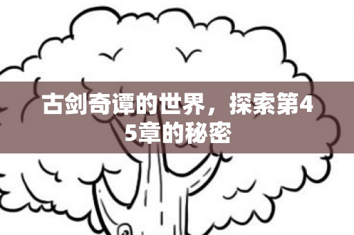 探索第45章的秘密图片