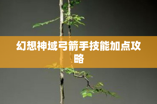 幻想神域弓箭手技能加点攻略图片