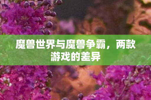 魔兽世界与魔兽争霸图片