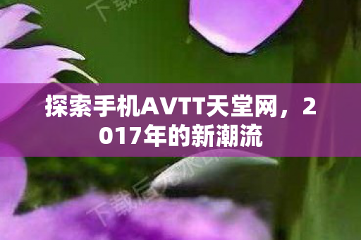 探索手机AVTT天堂网图片