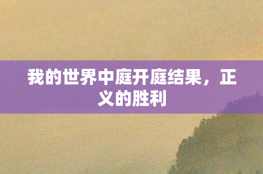 我的世界中庭开庭结果图片