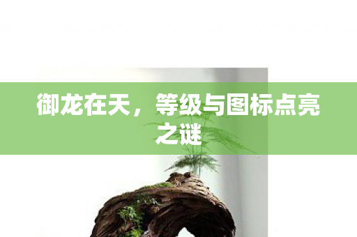 等级与图标点亮之谜图片