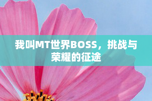 我叫MT世界BOSS图片