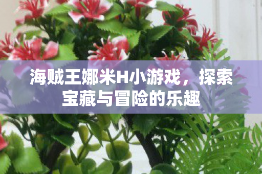 探索宝藏与冒险的乐趣图片