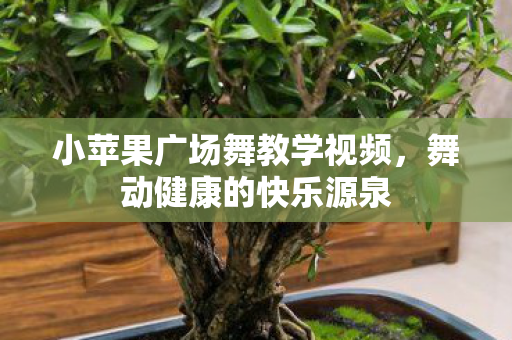 小苹果广场舞教学视频图片