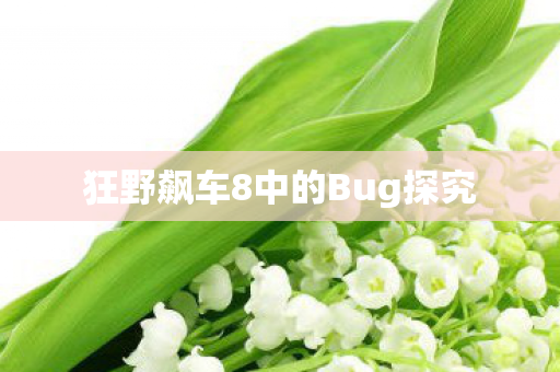 狂野飙车8中的Bug探究图片