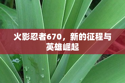 新的征程与英雄崛起图片