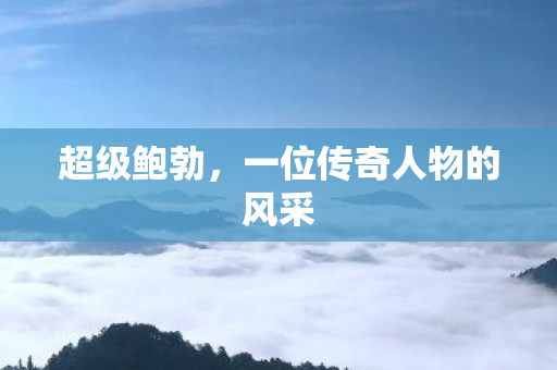 一位传奇人物的风采图片