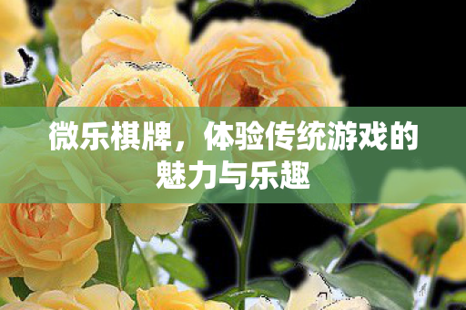 体验传统游戏的魅力与乐趣图片