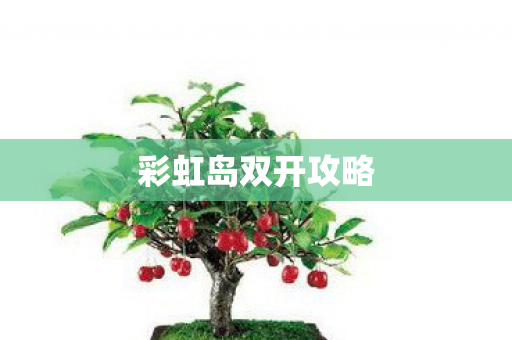 彩虹岛双开攻略图片