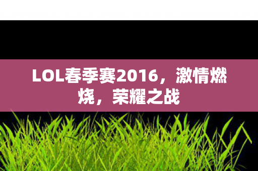 LOL春季赛2016图片