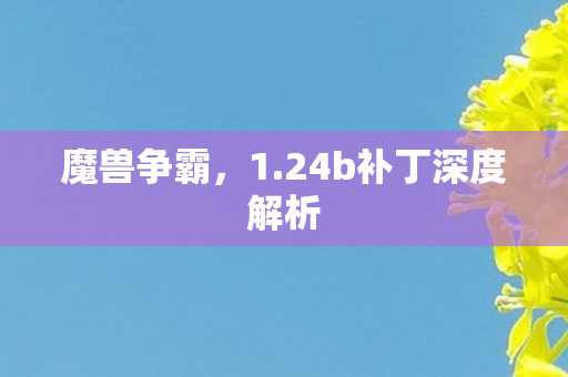 24b补丁深度解析图片