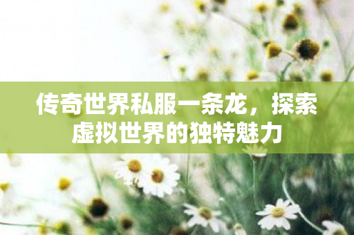探索虚拟世界的独特魅力图片