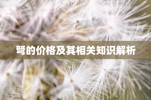 弩的价格及其相关知识解析图片