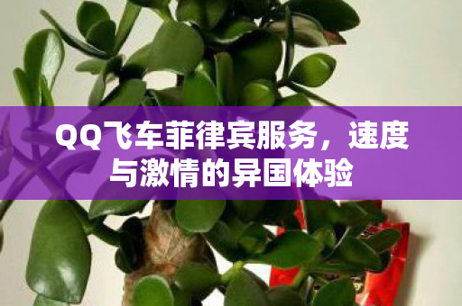 速度与激情的异国体验图片