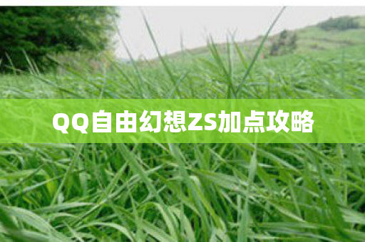 QQ自由幻想ZS加点攻略图片