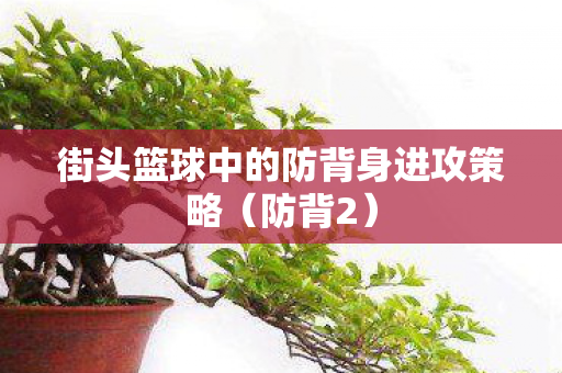 街头篮球中的防背身进攻策略图片