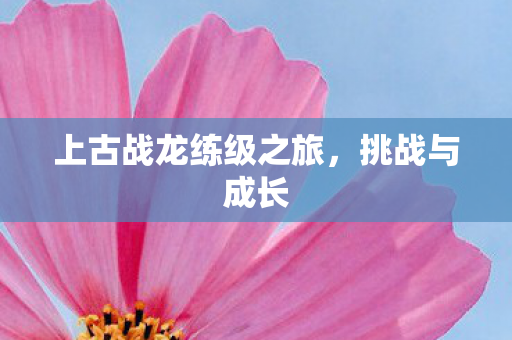 上古战龙练级之旅图片
