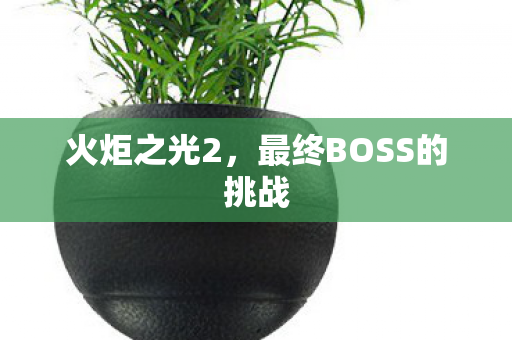 最终BOSS的挑战图片