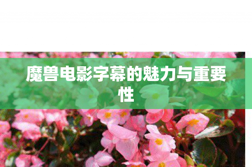 魔兽电影字幕的魅力与重要性图片