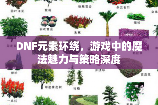 游戏中的魔法魅力与策略深度图片
