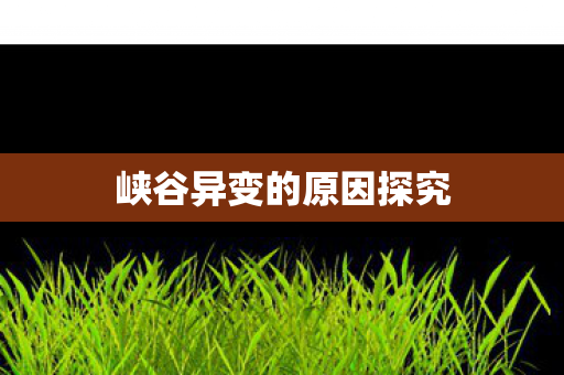 峡谷异变的原因探究图片