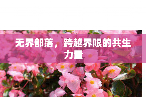 跨越界限的共生力量图片