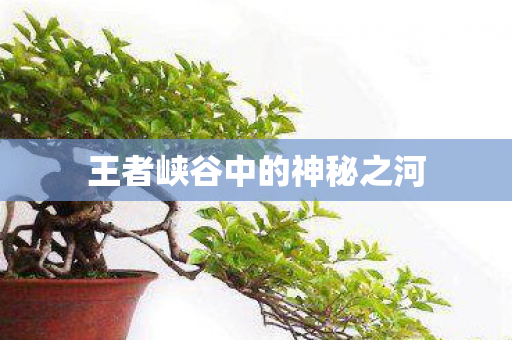 王者峡谷中的神秘之河图片