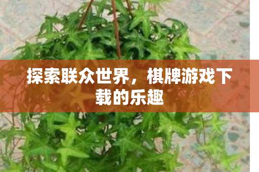 棋牌游戏下载的乐趣图片