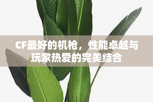 性能卓越与玩家热爱的完美结合图片