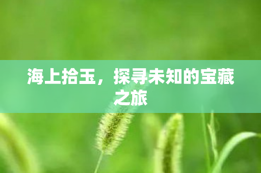 探寻未知的宝藏之旅图片