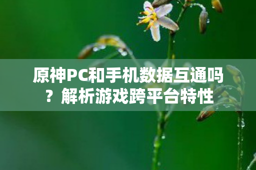 原神PC和手机数据互通吗图片