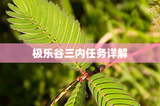 极乐谷三内任务详解图片