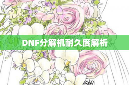 DNF分解机耐久度解析图片