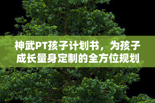 为孩子成长量身定制的全方位规划图片