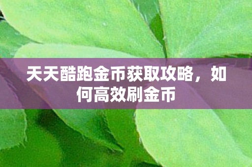 天天酷跑金币获取攻略图片