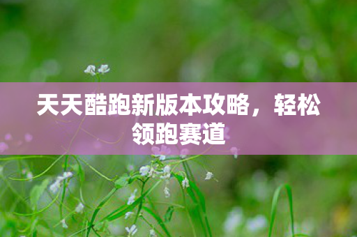 天天酷跑新版本攻略图片