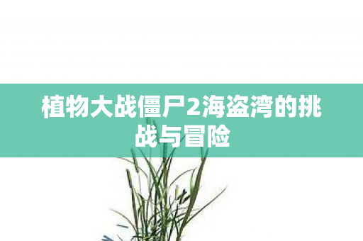 植物大战僵尸2海盗湾的挑战与冒险图片
