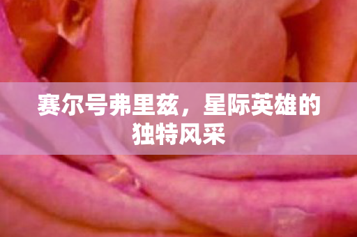 星际英雄的独特风采图片